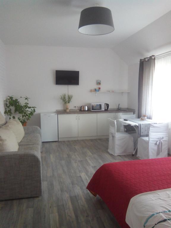 Guest House Na Golovatogo Boryspilʼ Habitación foto